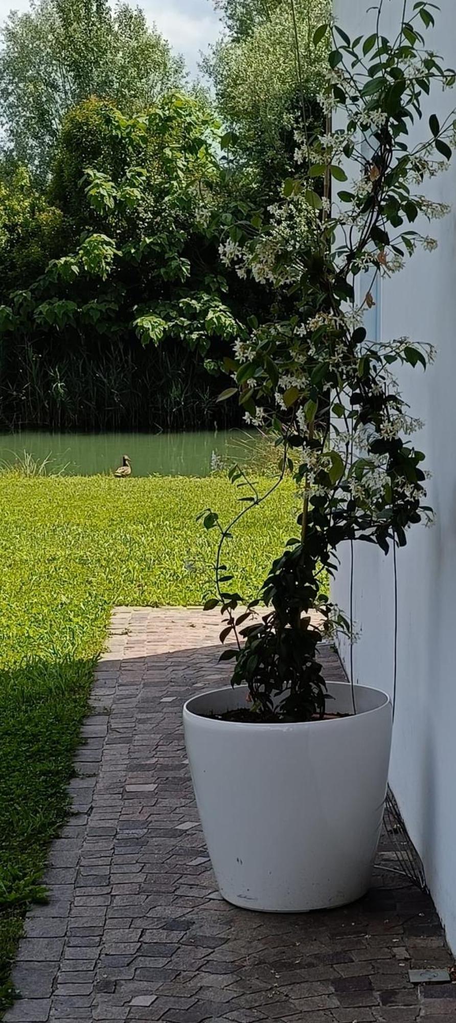 Locazione Riv'Al Sile Hotel Quinto Di Treviso Exterior foto